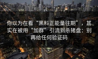 你以为在看“黑料正能量往期”，其实在被用“加群”引流到杀猪盘：别再给任何验证码