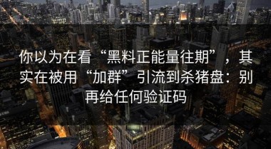 你以为在看“黑料正能量往期”，其实在被用“加群”引流到杀猪盘：别再给任何验证码