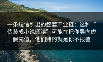 一条短信引出的整套产业链：这种“伪装成小说阅读”可能在把你导向虚假充值，他们赌的就是你不报警