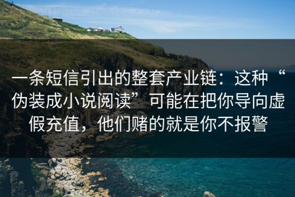 一条短信引出的整套产业链：这种“伪装成小说阅读”可能在把你导向虚假充值，他们赌的就是你不报警