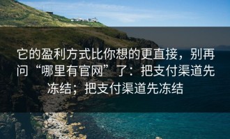 它的盈利方式比你想的更直接，别再问“哪里有官网”了：把支付渠道先冻结；把支付渠道先冻结