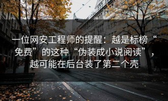 一位网安工程师的提醒：越是标榜“免费”的这种“伪装成小说阅读”，越可能在后台装了第二个壳