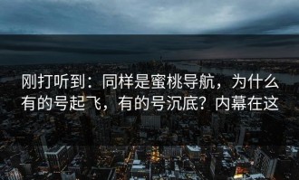 刚打听到：同样是蜜桃导航，为什么有的号起飞，有的号沉底？内幕在这