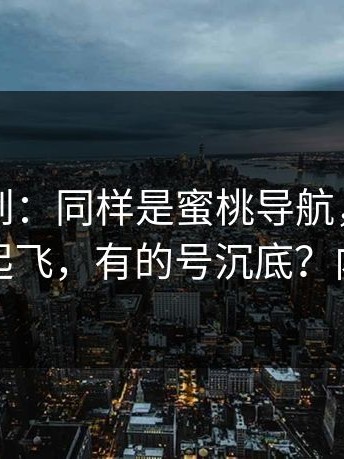刚打听到：同样是蜜桃导航，为什么有的号起飞，有的号沉底？内幕在这