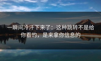 一瞬间冷汗下来了：这种跳转不是给你看的，是来拿你信息的