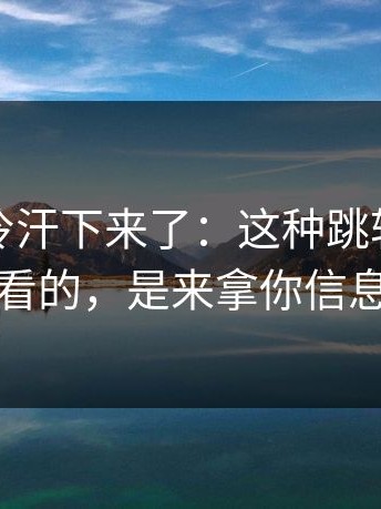一瞬间冷汗下来了：这种跳转不是给你看的，是来拿你信息的