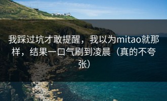 我踩过坑才敢提醒，我以为mitao就那样，结果一口气刷到凌晨（真的不夸张）