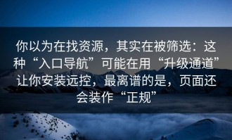你以为在找资源，其实在被筛选：这种“入口导航”可能在用“升级通道”让你安装远控，最离谱的是，页面还会装作“正规”