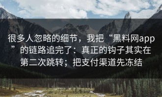很多人忽略的细节，我把“黑料网app”的链路追完了：真正的钩子其实在第二次跳转；把支付渠道先冻结