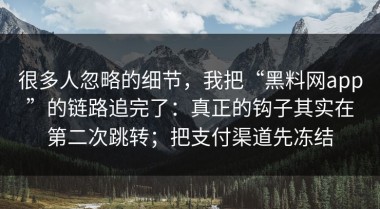很多人忽略的细节，我把“黑料网app”的链路追完了：真正的钩子其实在第二次跳转；把支付渠道先冻结