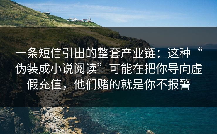 一条短信引出的整套产业链：这种“伪装成小说阅读”可能在把你导向虚假充值，他们赌的就是你不报警