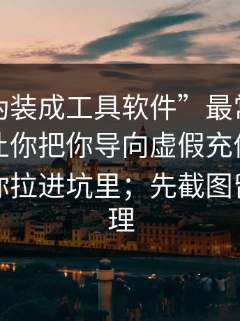 这种“伪装成工具软件”最常见的套路：先让你把你导向虚假充值，再一步步把你拉进坑里；先截图留证再处理