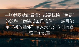 一张截图就能看懂：越是标榜“免费”的这种“伪装成工具软件”，越可能用“播放插件”植入木马；立刻检查这三个设置