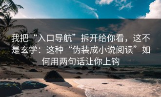 我把“入口导航”拆开给你看，这不是玄学：这种“伪装成小说阅读”如何用两句话让你上钩