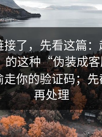 别再问链接了，先看这篇：越是标榜“免费”的这种“伪装成客服通道”，越可能偷走你的验证码；先截图留证再处理