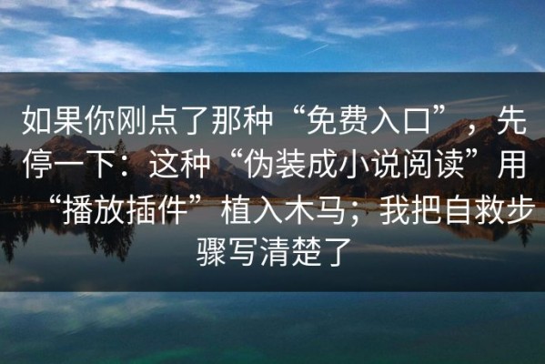如果你刚点了那种“免费入口”，先停一下：这种“伪装成小说阅读”用“播放插件”植入木马；我把自救步骤写清楚了