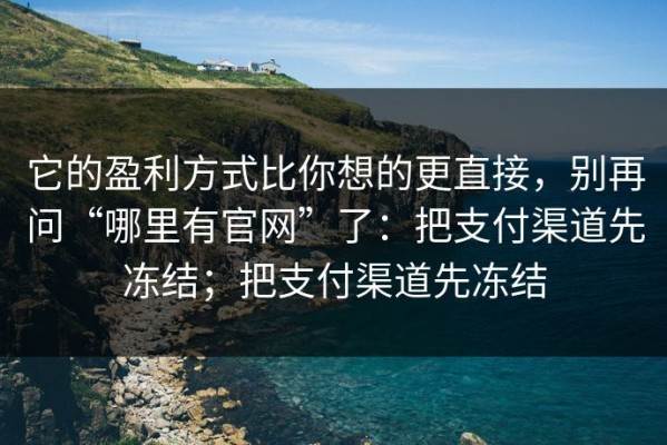 它的盈利方式比你想的更直接，别再问“哪里有官网”了：把支付渠道先冻结；把支付渠道先冻结