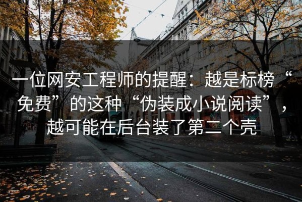 一位网安工程师的提醒：越是标榜“免费”的这种“伪装成小说阅读”，越可能在后台装了第二个壳