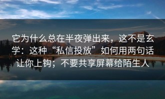 它为什么总在半夜弹出来，这不是玄学：这种“私信投放”如何用两句话让你上钩；不要共享屏幕给陌生人