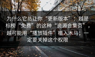 为什么它总让你“更新版本”：越是标榜“免费”的这种“资源合集页”，越可能用“播放插件”植入木马；一定要关掉这个权限