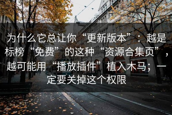 为什么它总让你“更新版本”：越是标榜“免费”的这种“资源合集页”，越可能用“播放插件”植入木马；一定要关掉这个权限