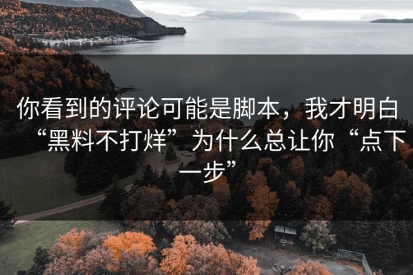 你看到的评论可能是脚本，我才明白“黑料不打烊”为什么总让你“点下一步”