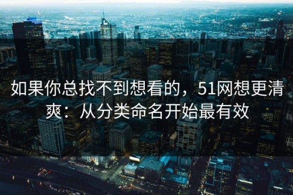 如果你总找不到想看的，51网想更清爽：从分类命名开始最有效