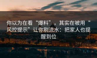 你以为在看“爆料”，其实在被用“风控提示”让你刷流水：把家人也提醒到位