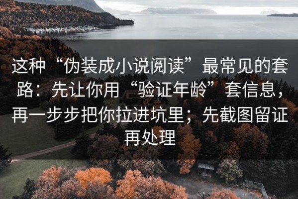 这种“伪装成小说阅读”最常见的套路：先让你用“验证年龄”套信息，再一步步把你拉进坑里；先截图留证再处理