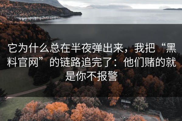 它为什么总在半夜弹出来，我把“黑料官网”的链路追完了：他们赌的就是你不报警