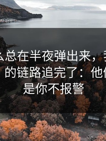 它为什么总在半夜弹出来，我把“黑料官网”的链路追完了：他们赌的就是你不报警