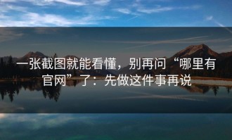 一张截图就能看懂，别再问“哪里有官网”了：先做这件事再说