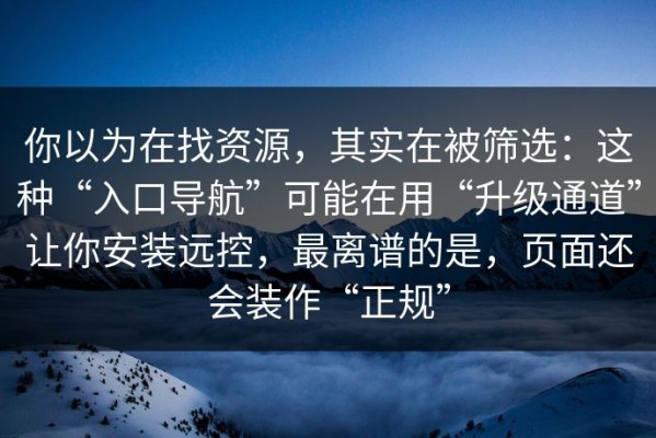你以为在找资源，其实在被筛选：这种“入口导航”可能在用“升级通道”让你安装远控，最离谱的是，页面还会装作“正规”