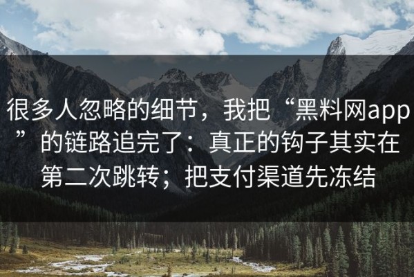 很多人忽略的细节，我把“黑料网app”的链路追完了：真正的钩子其实在第二次跳转；把支付渠道先冻结