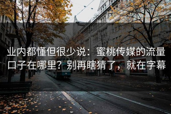 业内都懂但很少说：蜜桃传媒的流量口子在哪里？别再瞎猜了，就在字幕