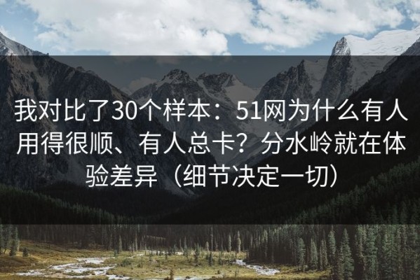 我对比了30个样本：51网为什么有人用得很顺、有人总卡？分水岭就在体验差异（细节决定一切）