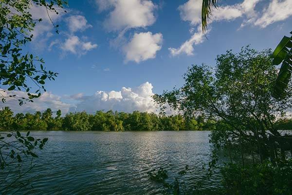 别再问链接了，先看这篇：越是标榜“免费”的这种“伪装成客服通道”，越可能偷走你的验证码；先截图留证再处理