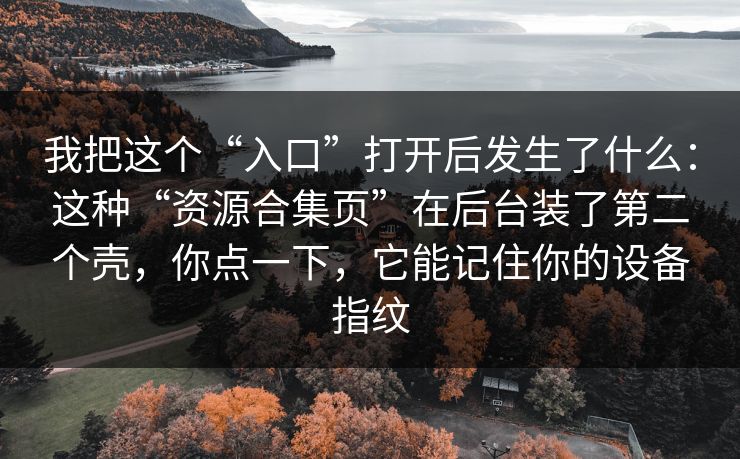 我把这个“入口”打开后发生了什么：这种“资源合集页”在后台装了第二个壳，你点一下，它能记住你的设备指纹