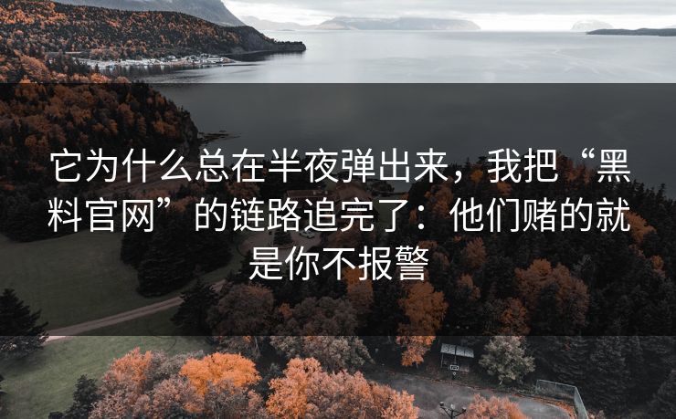 它为什么总在半夜弹出来，我把“黑料官网”的链路追完了：他们赌的就是你不报警