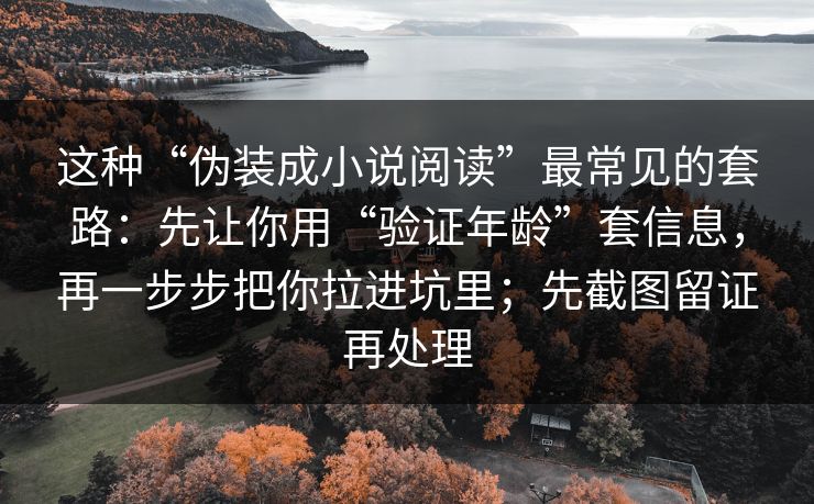 这种“伪装成小说阅读”最常见的套路：先让你用“验证年龄”套信息，再一步步把你拉进坑里；先截图留证再处理