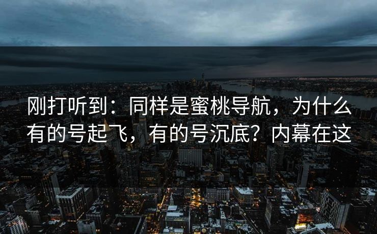 刚打听到：同样是蜜桃导航，为什么有的号起飞，有的号沉底？内幕在这