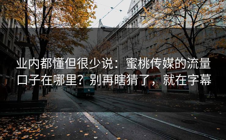 业内都懂但很少说：蜜桃传媒的流量口子在哪里？别再瞎猜了，就在字幕