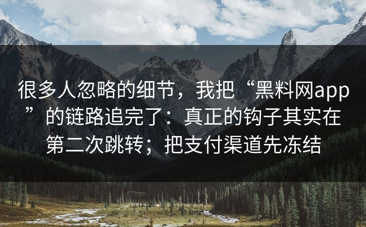 很多人忽略的细节，我把“黑料网app”的链路追完了：真正的钩子其实在第二次跳转；把支付渠道先冻结