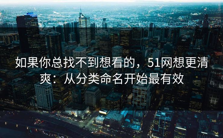 如果你总找不到想看的，51网想更清爽：从分类命名开始最有效